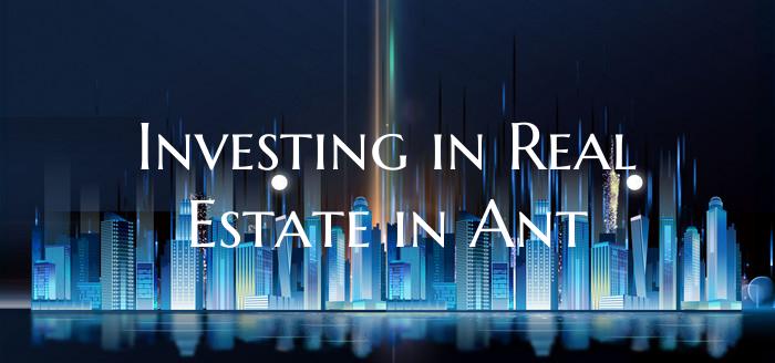 Investing in Real Estate in Ant