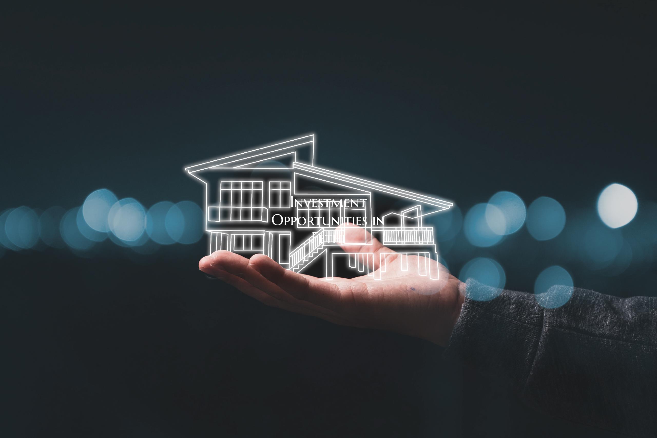 Investment Opportunities in Fethi